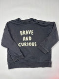 Pullover Brave Curious
