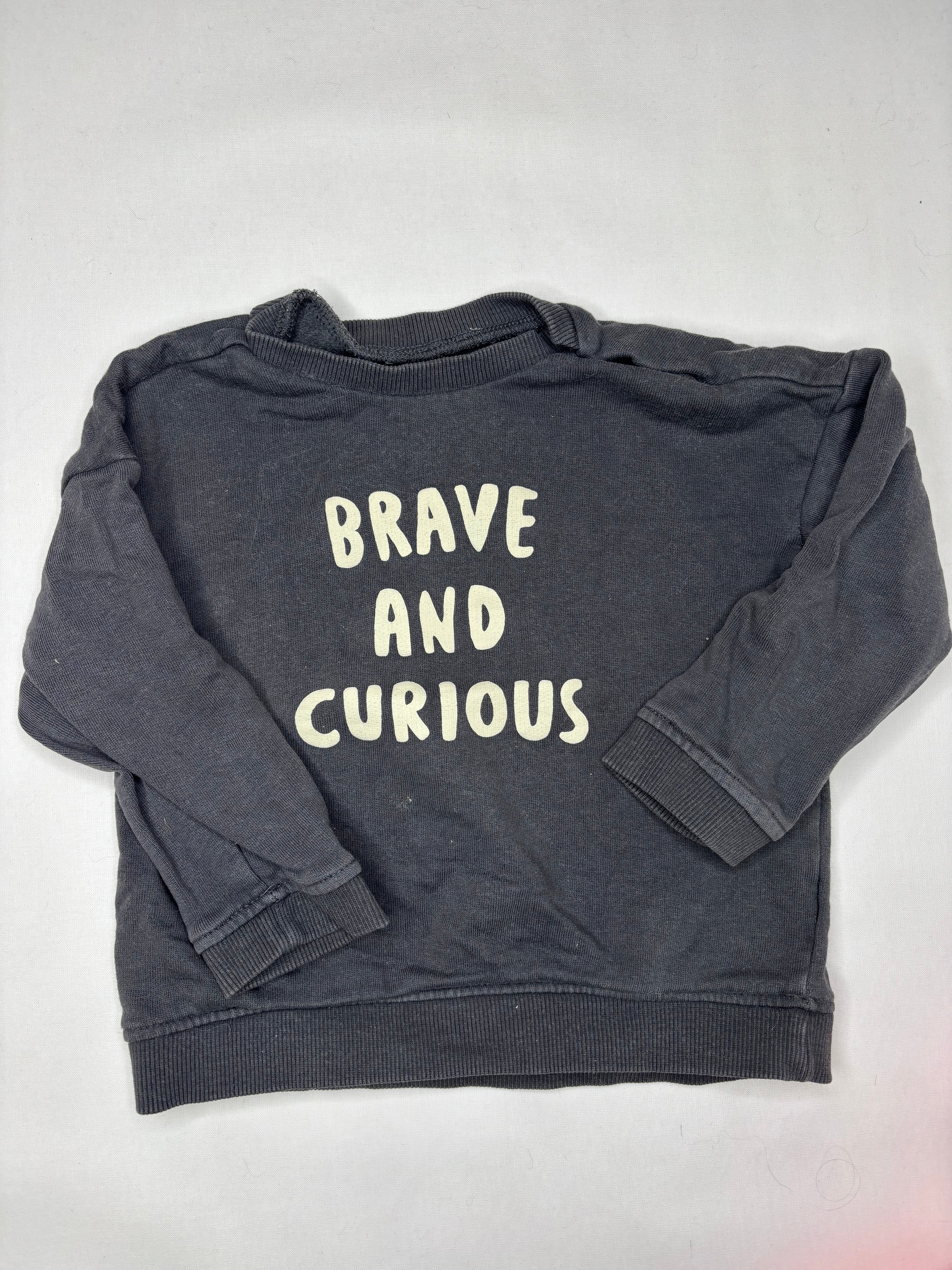 Pullover Brave Curious