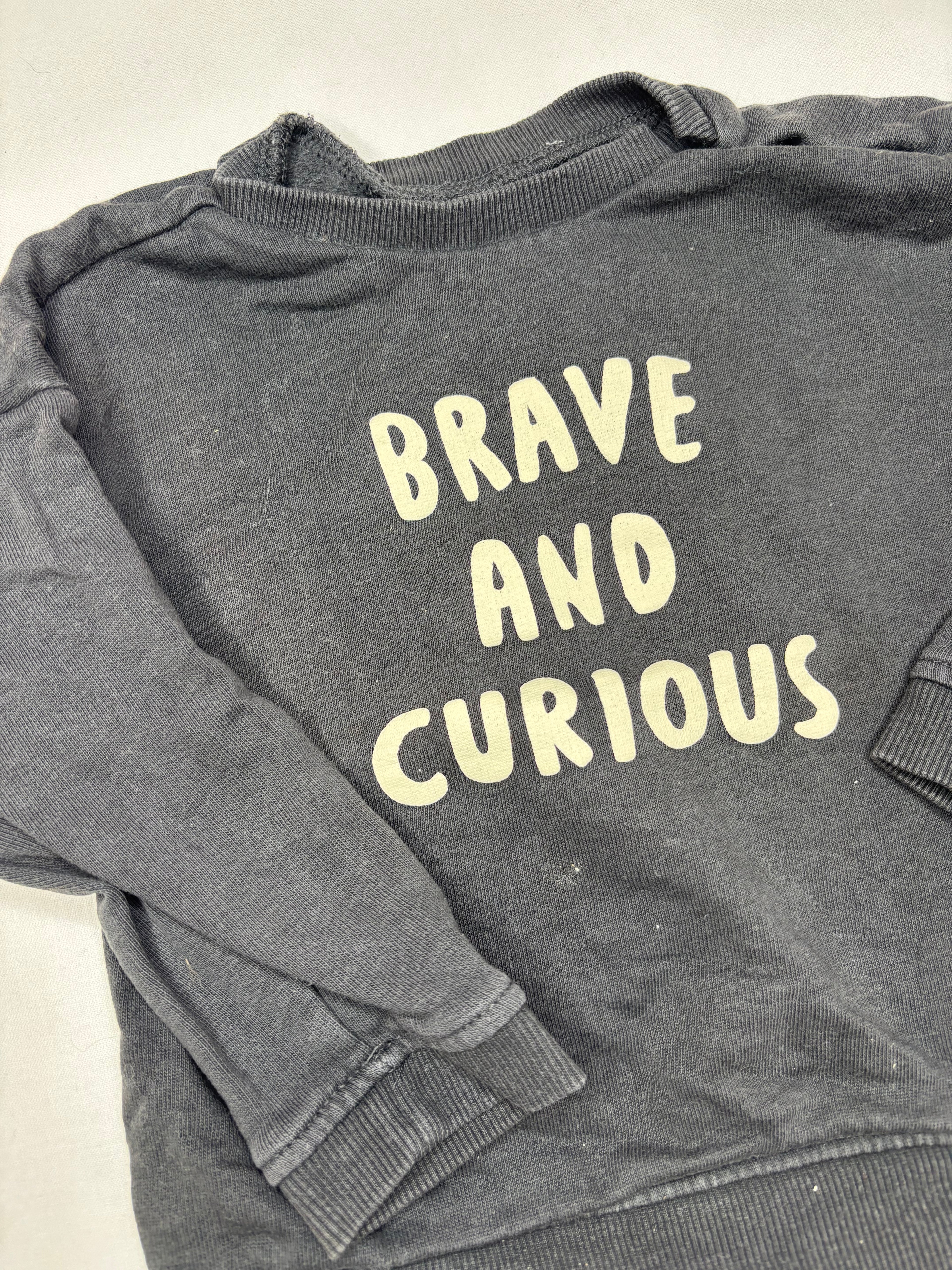 Pullover Brave Curious