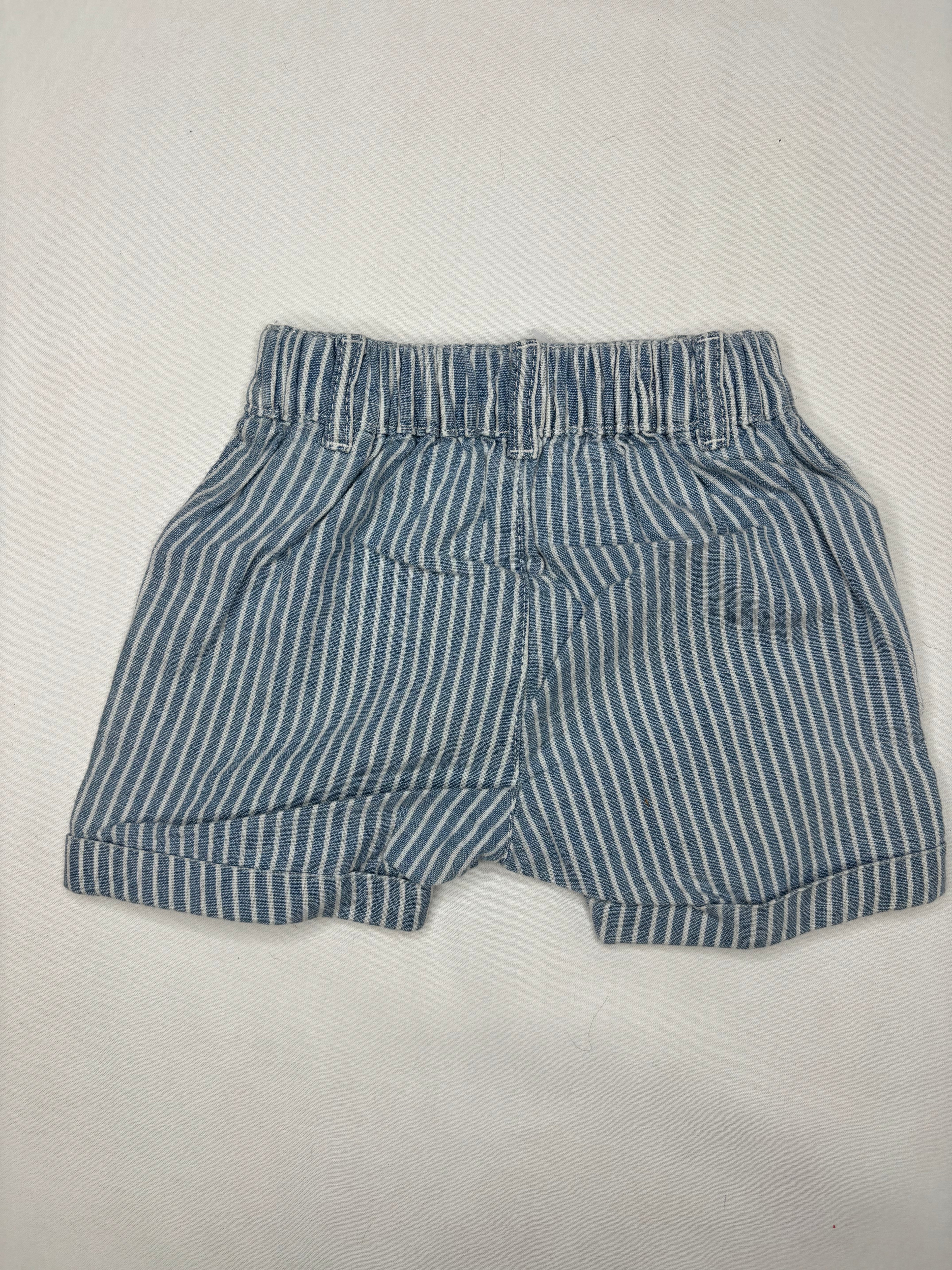 Shorts Turtle