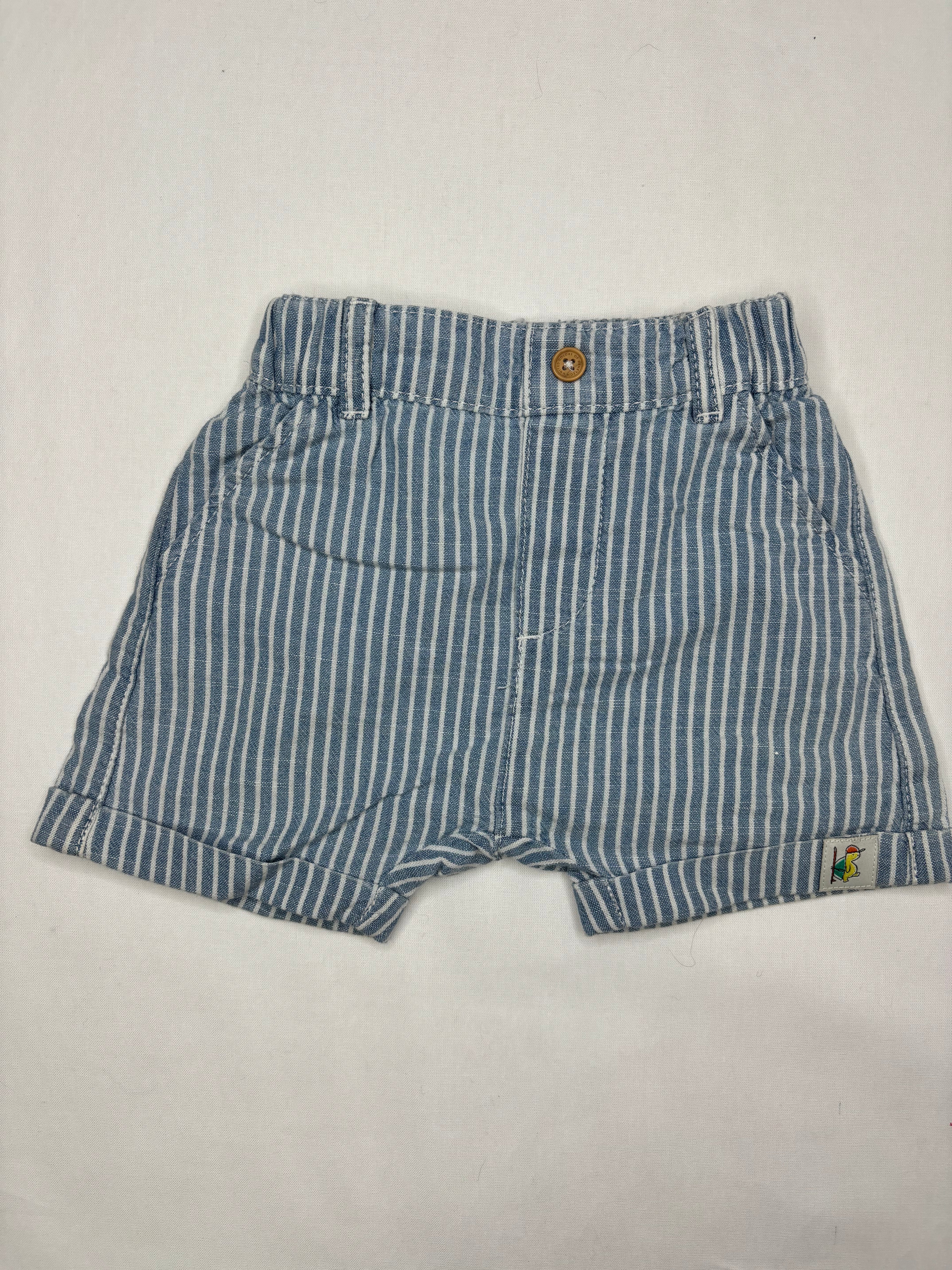 Shorts Turtle