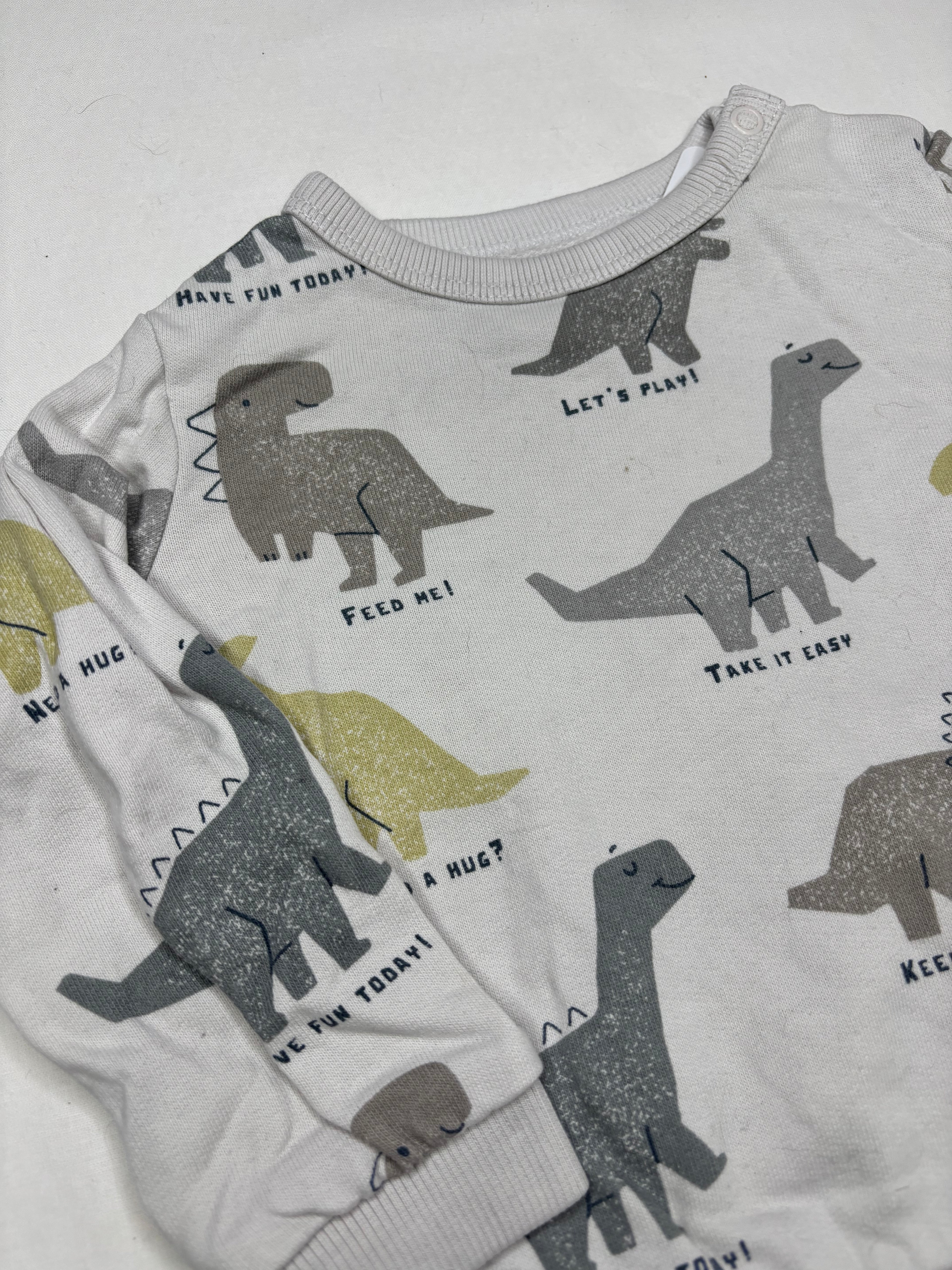 Pullover Dino