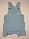 Overall Celeste